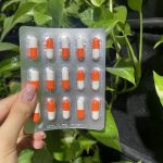 کپسول فست ران - Image 2