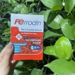 کپسول فرودین