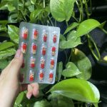 کپسول فرودین - Image 2