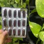 کپسول هیرویت - Image 2